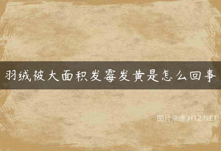 羽绒被大面积发霉发黄是怎么回事