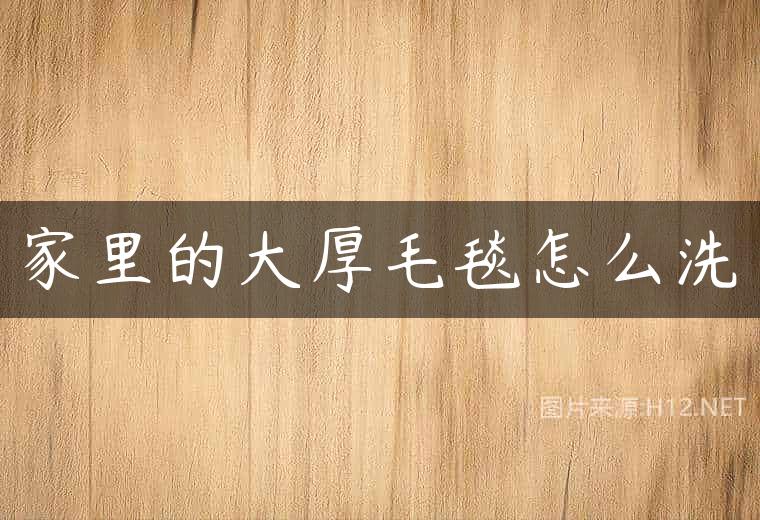 家里的大厚毛毯怎么洗