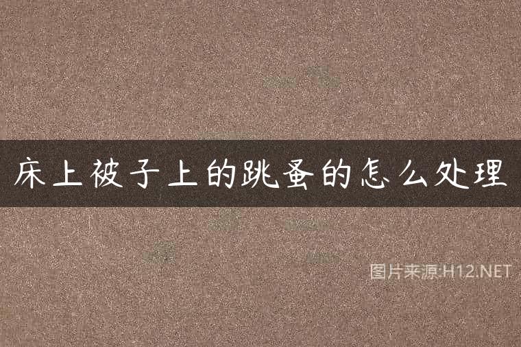 床上被子上的跳蚤的怎么处理
