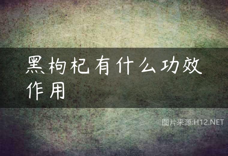 黑枸杞有什么功效作用