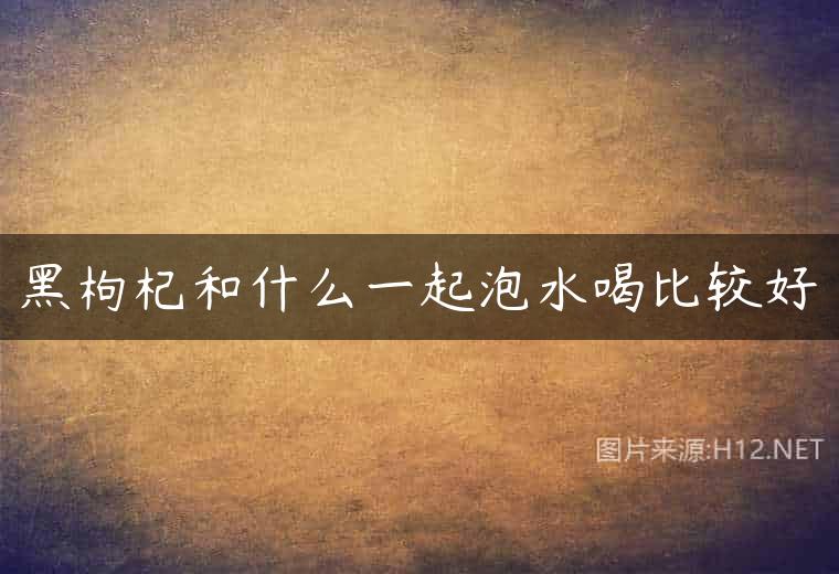 黑枸杞和什么一起泡水喝比较好