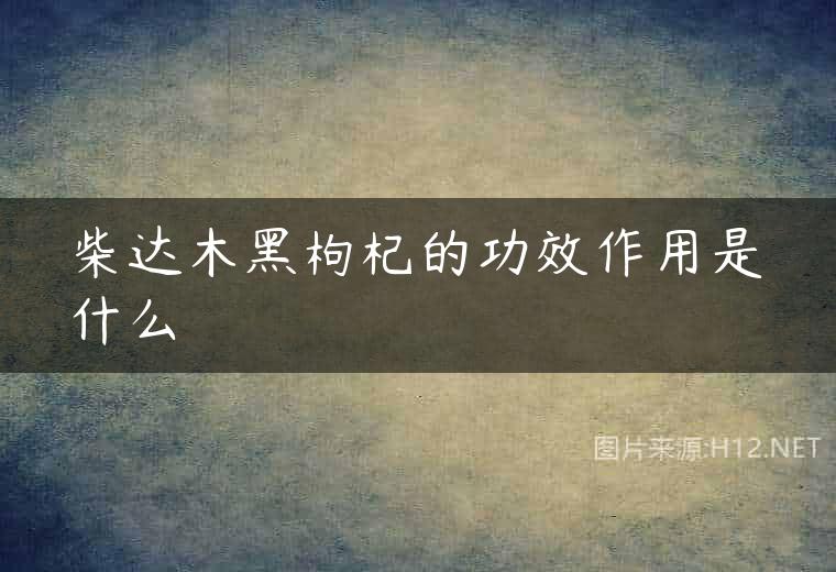 柴达木黑枸杞的功效作用是什么