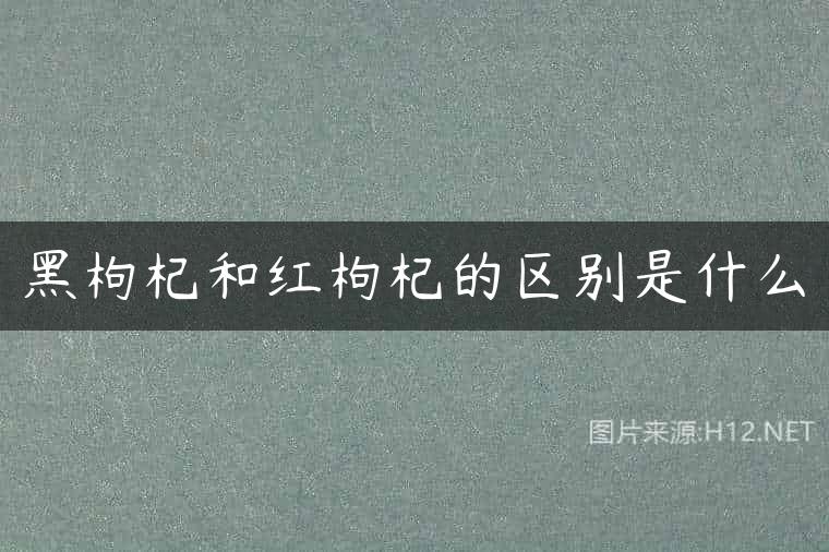 黑枸杞和红枸杞的区别是什么