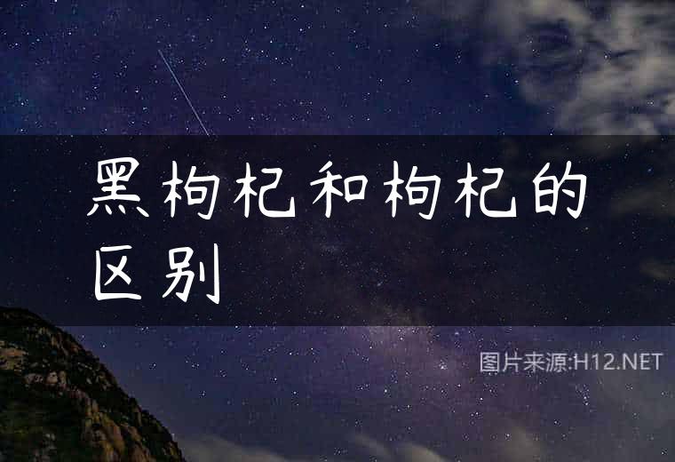 黑枸杞和枸杞的区别