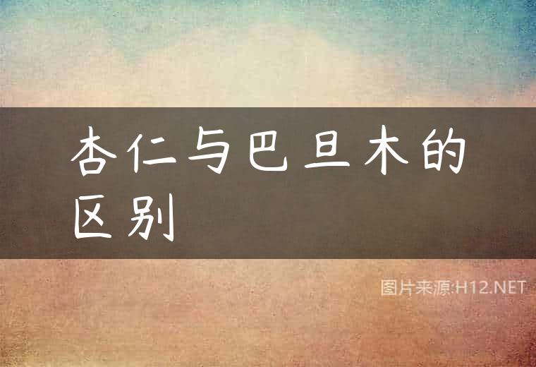 杏仁与巴旦木的区别
