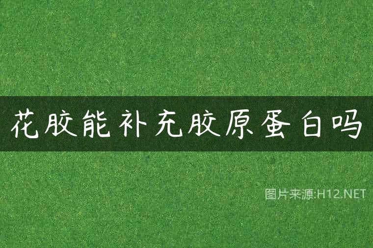 花胶能补充胶原蛋白吗