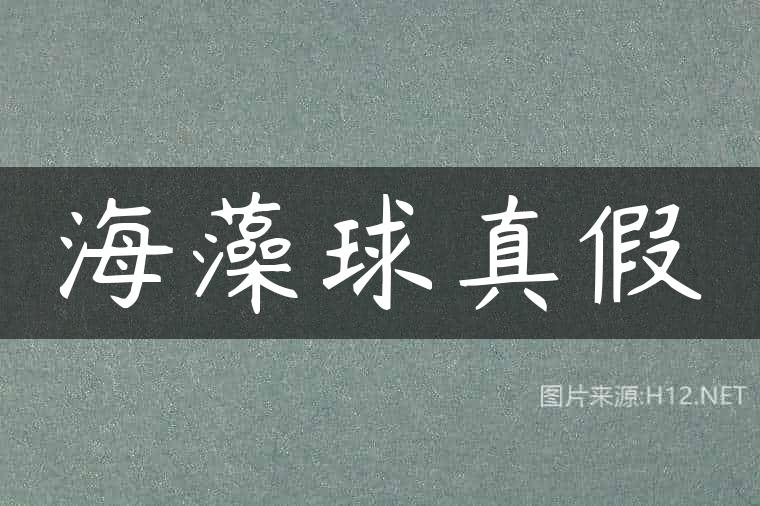 海藻球真假