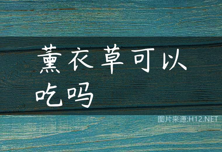 薰衣草可以吃吗