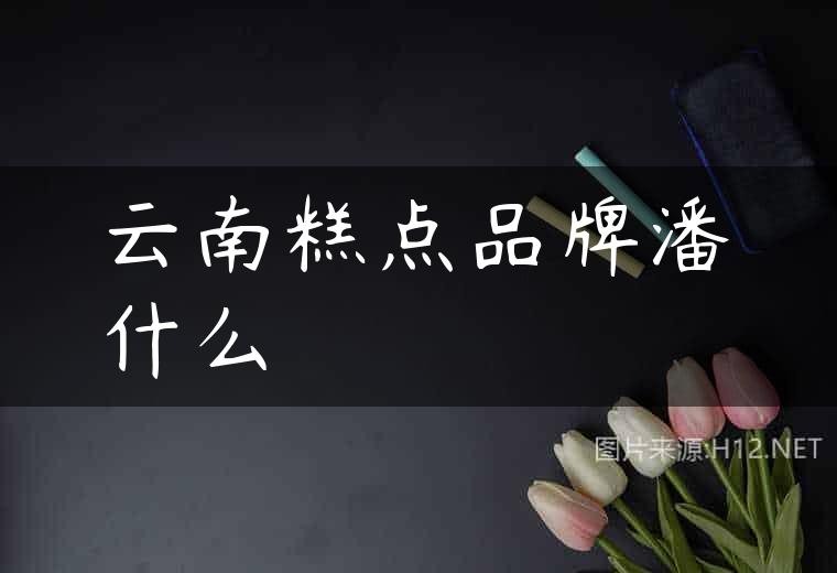 云南糕点品牌潘什么