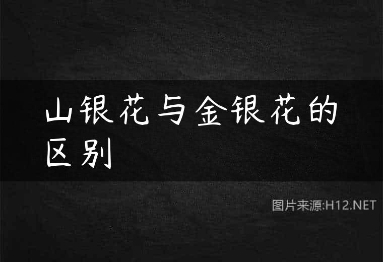 山银花与金银花的区别