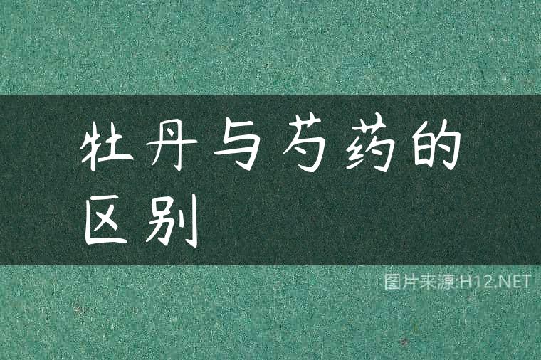 牡丹与芍药的区别