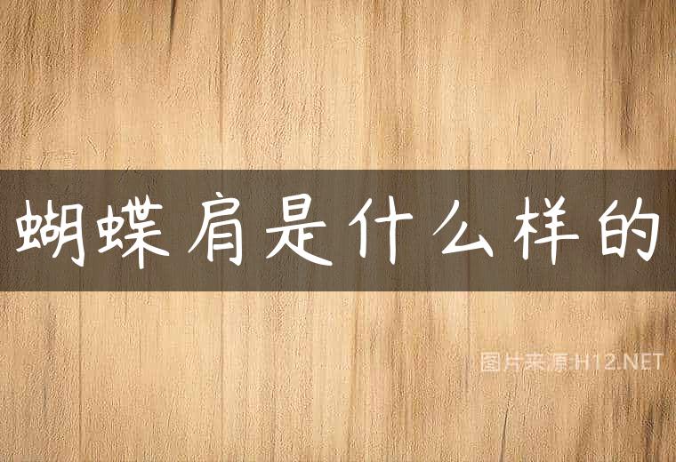 蝴蝶肩是什么样的