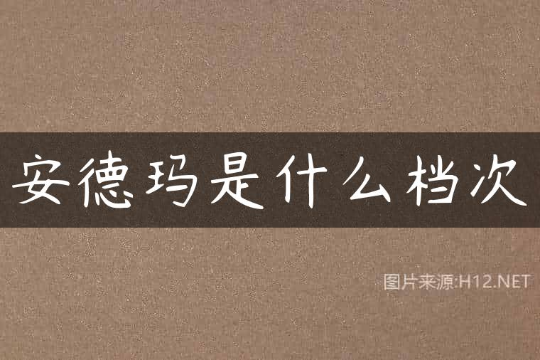 安德玛是什么档次