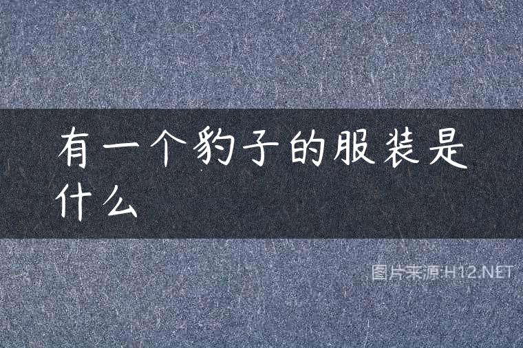 有一个豹子的服装是什么