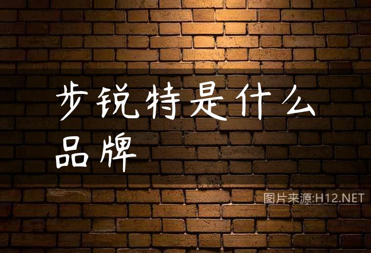 步锐特是什么品牌