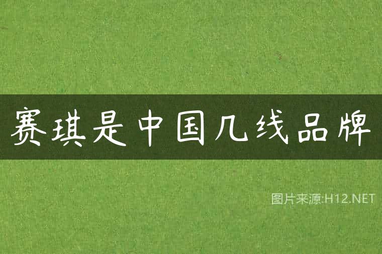 赛琪是中国几线品牌
