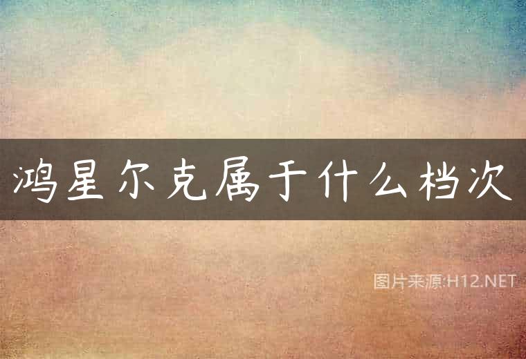 鸿星尔克属于什么档次