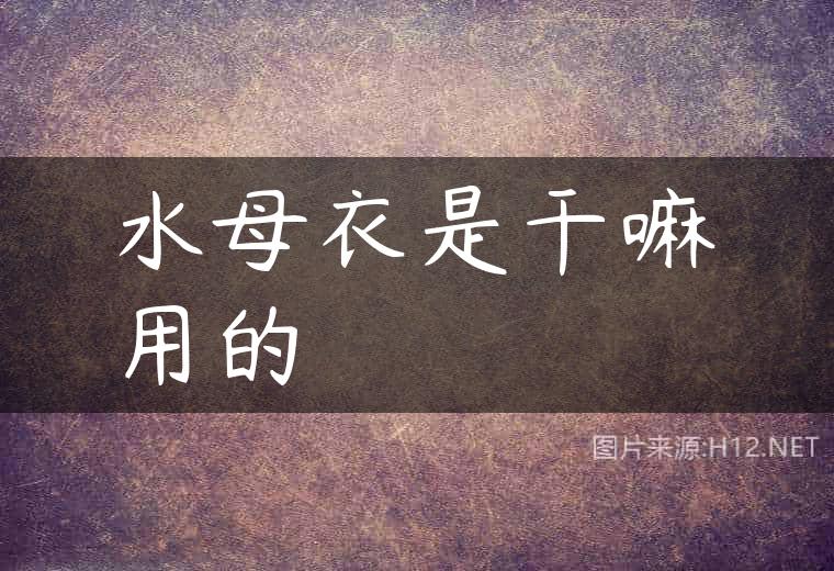 水母衣是干嘛用的