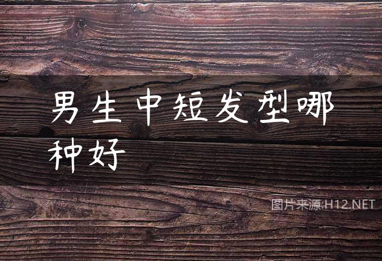 男生中短发型哪种好