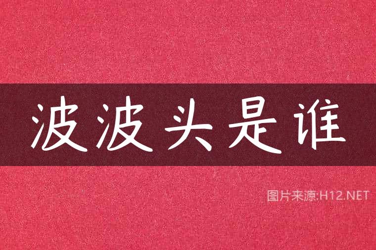 波波头是谁