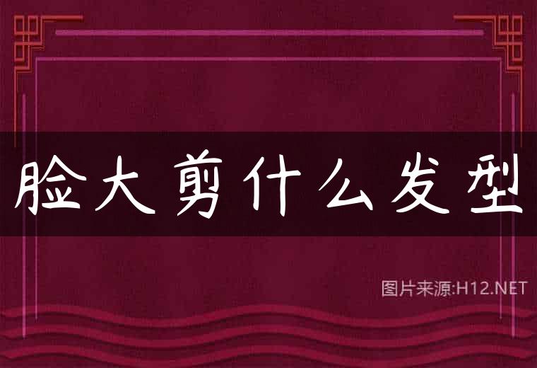 脸大剪什么发型