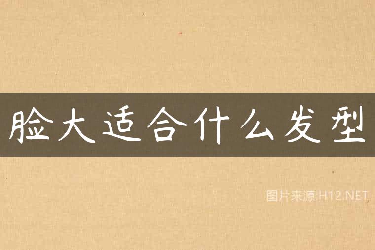 脸大适合什么发型