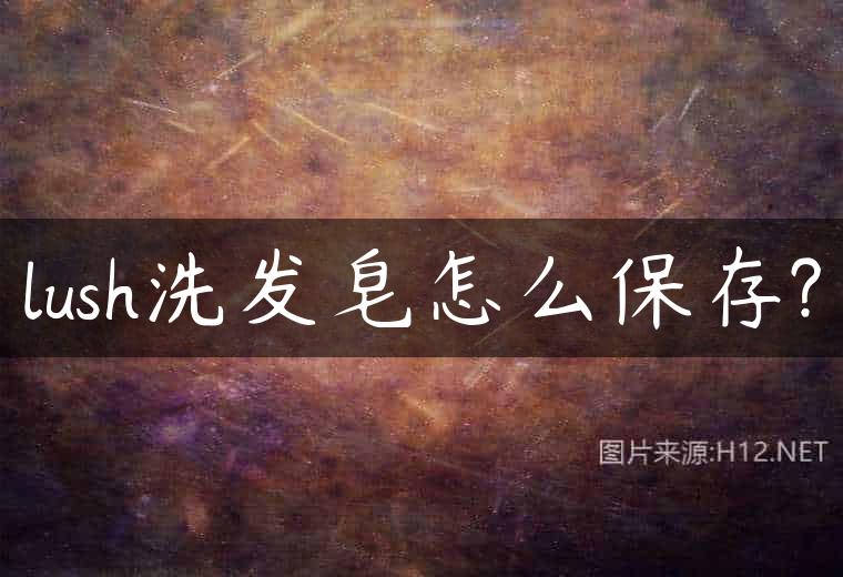 lush洗发皂怎么保存?