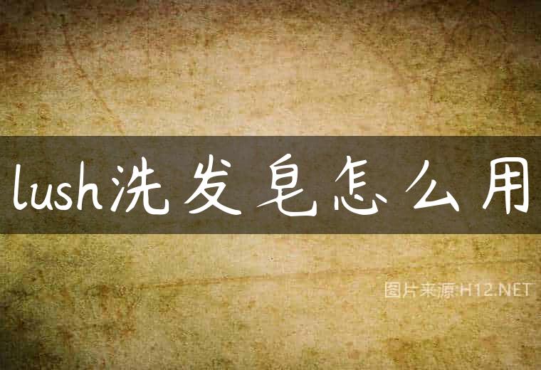 lush洗发皂怎么用