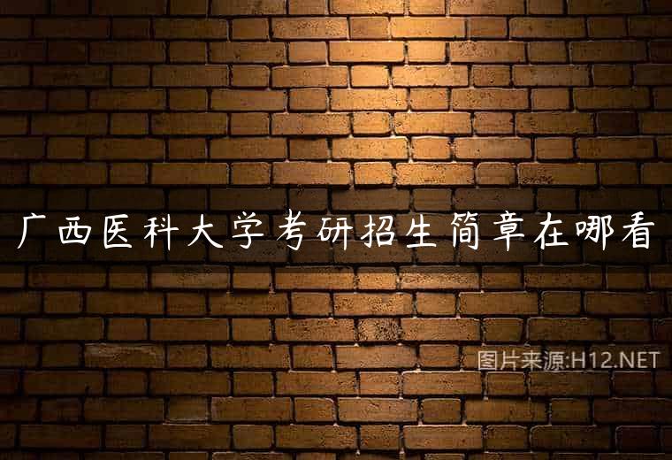 广西医科大学考研招生简章在哪看