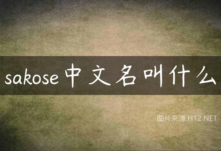 sakose中文名叫什么