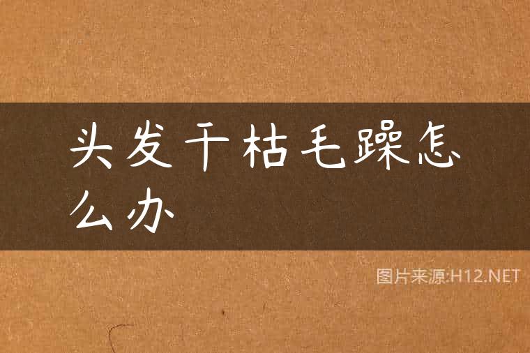 头发干枯毛躁怎么办