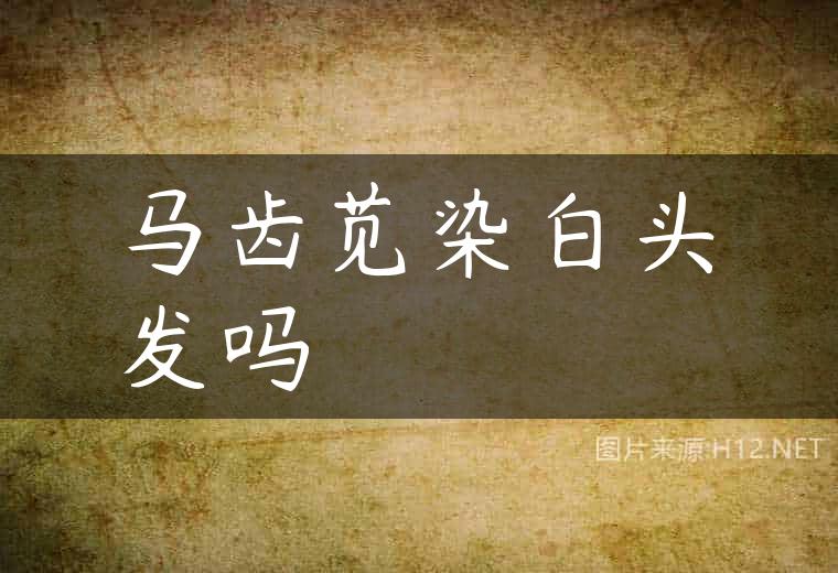 马齿苋染白头发吗