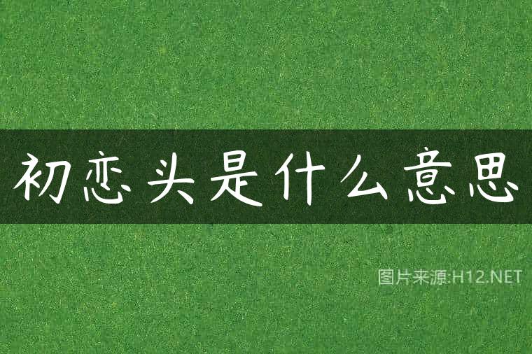 初恋头是什么意思