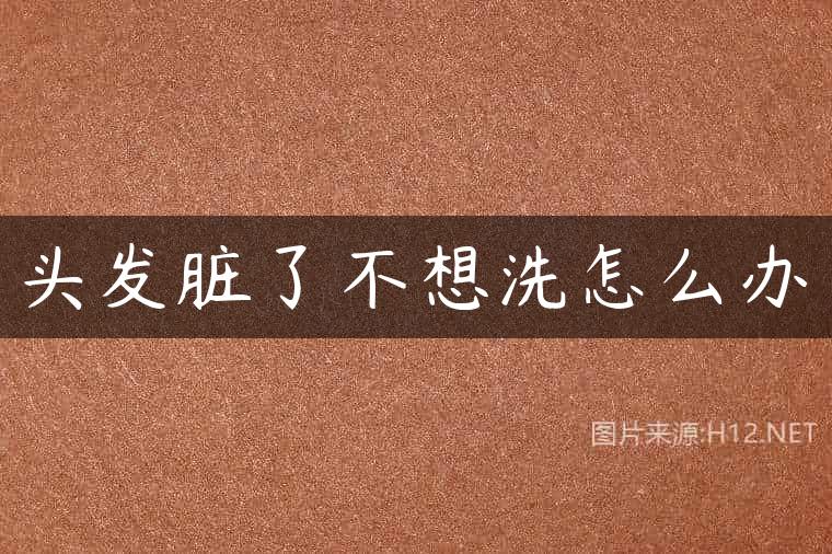 头发脏了不想洗怎么办