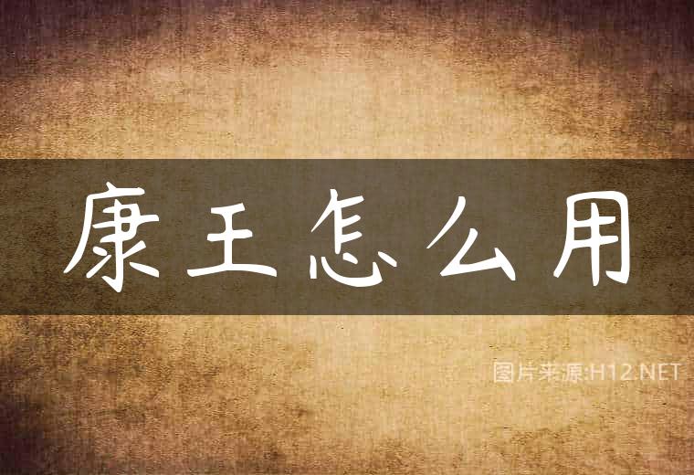 康王怎么用