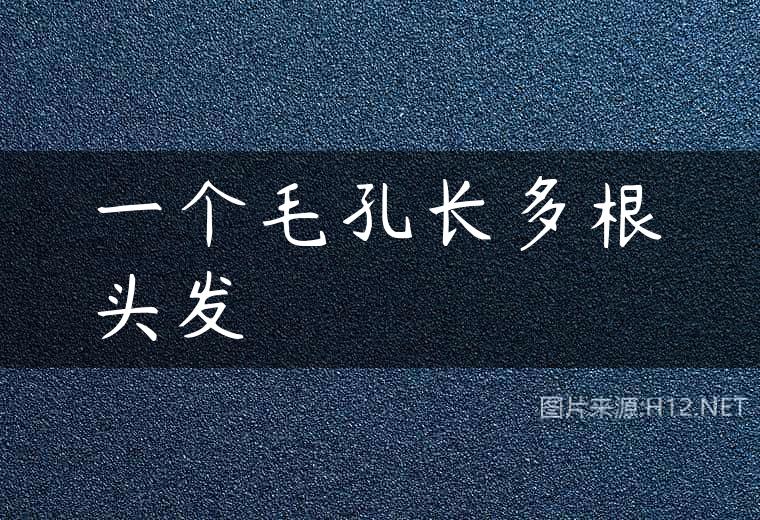一个毛孔长多根头发