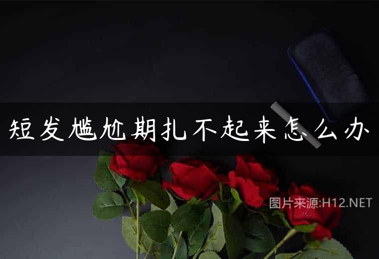 短发尴尬期扎不起来怎么办