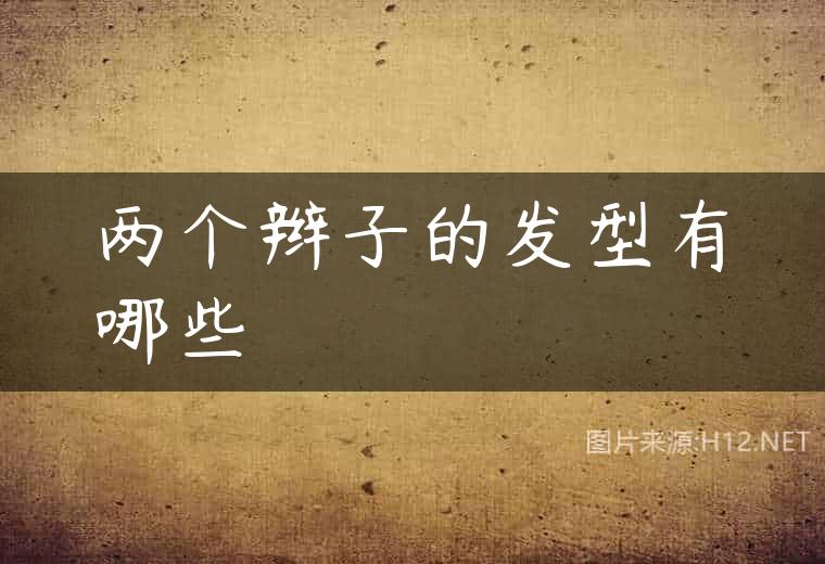 两个辫子的发型有哪些