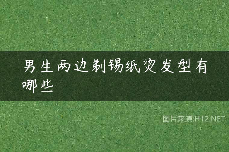 男生两边剃锡纸烫发型有哪些