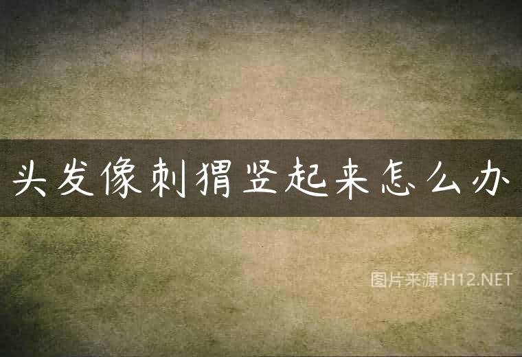 头发像刺猬竖起来怎么办