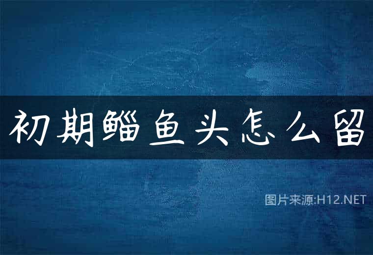 初期鲻鱼头怎么留