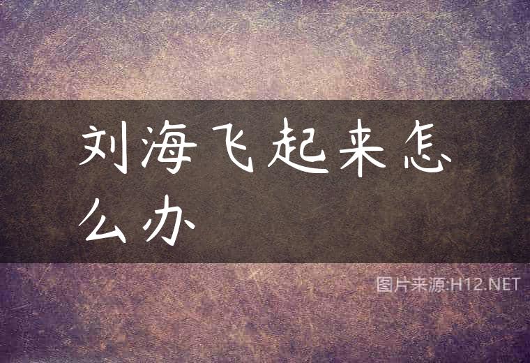 刘海飞起来怎么办