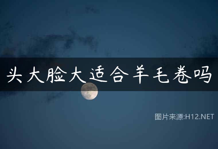 头大脸大适合羊毛卷吗