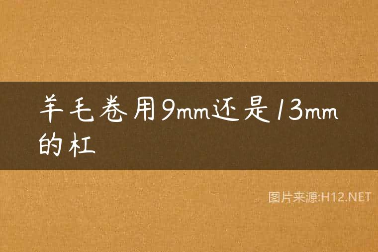 羊毛卷用9mm还是13mm的杠