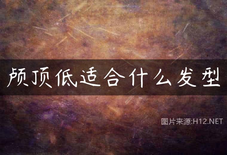 颅顶低适合什么发型