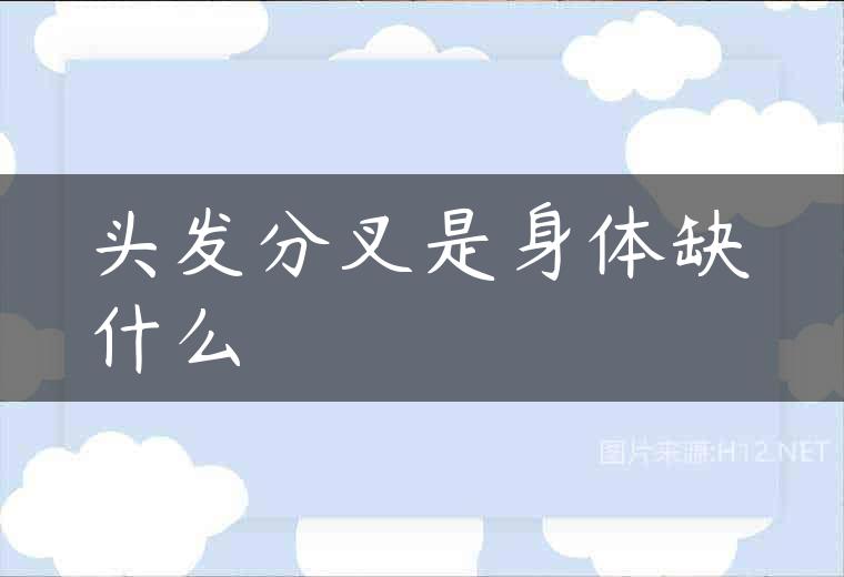 头发分叉是身体缺什么