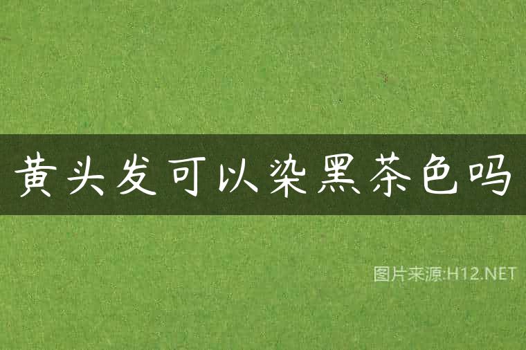 黄头发可以染黑茶色吗