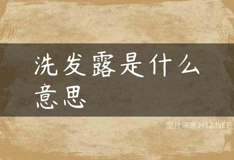 洗发露是什么意思