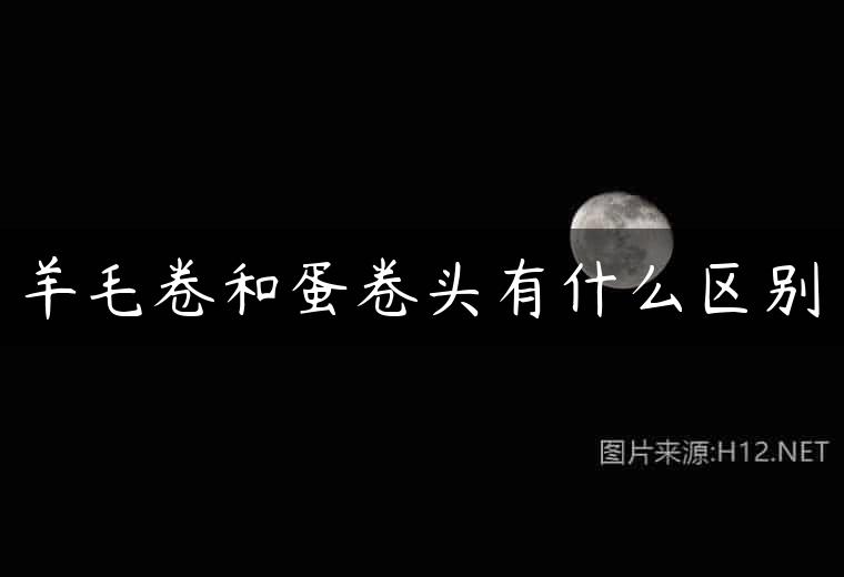 羊毛卷和蛋卷头有什么区别