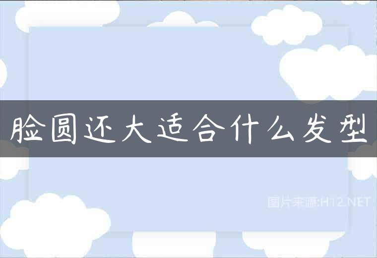 脸圆还大适合什么发型